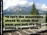 "It isn't the mountains ahead to climb that wear you out; it's the pebble in your shoe." Muhammad Ali